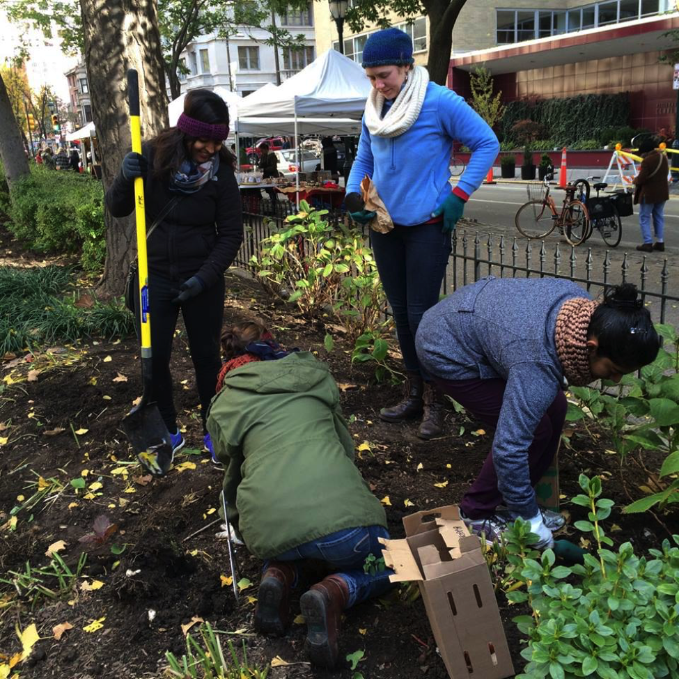 EventsSGO111415LoveYourParkplanting